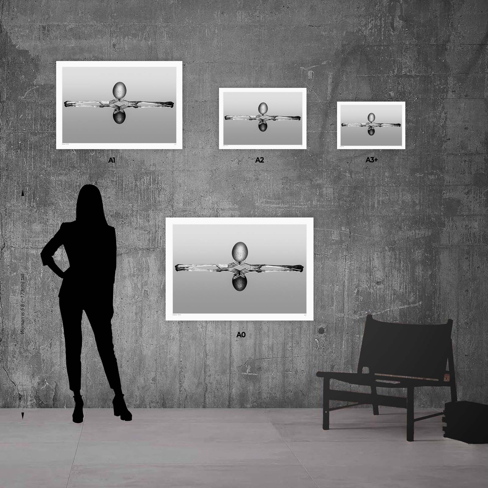 Illusions 12 Illusions