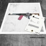 Weapon of Mass Destruction